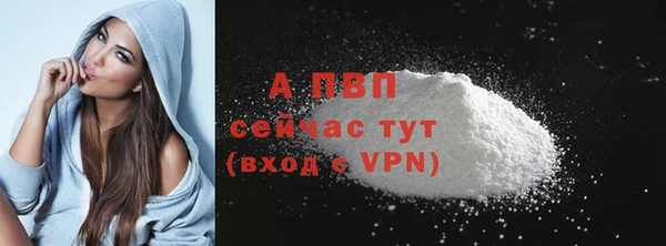 СК Горнозаводск