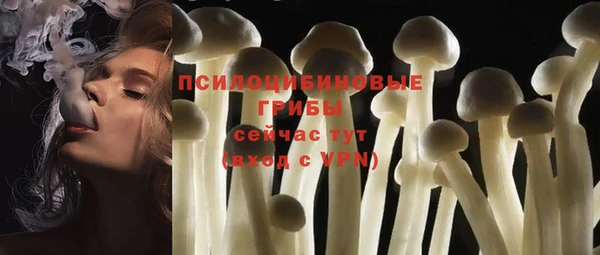 прущая мука Горно-Алтайск