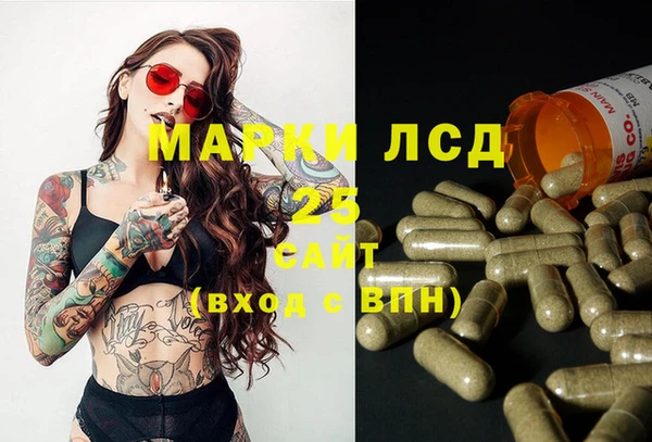 тгк Горняк