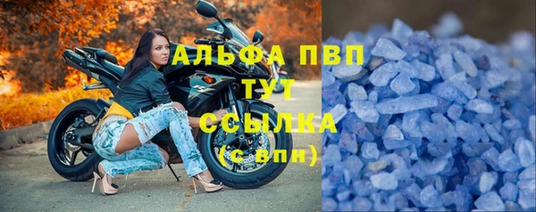 СК Горнозаводск