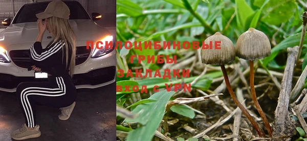 СК Горнозаводск