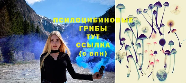 прущая мука Горно-Алтайск