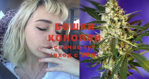 тгк Горняк