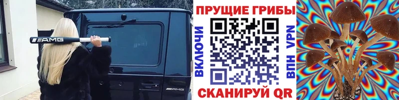 Псилоцибиновые грибы GOLDEN TEACHER цена Дно